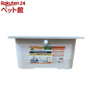 eg 傤ŃLC_J 40×40 zCg(1)yegz