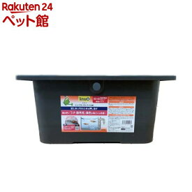 テトラ じょうろでキレイメダカ鉢 40×40 色光育成グレー(1個)【テトラ】