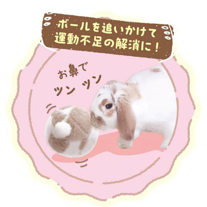 楽天市場】たれ耳ちゃんのうさけつボール(1個)【ミニアニマン】 : 楽天 