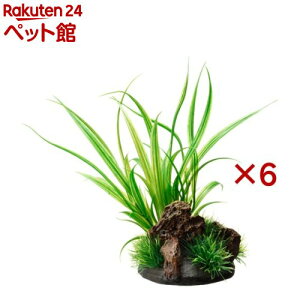 i ANALoX VyX(6Zbg)yiz