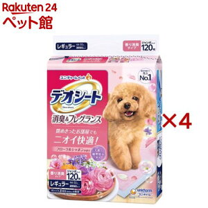 fIV[g LtOX t[V{̍ M[ p(120×4Zbg)yfIV[gz