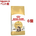 ロイヤルカナン FBN メインクーン 成猫用(2kg*6コセット)【d_rc】【2003_rcmail】【ロイヤルカナン(ROYAL CANIN)】[キャットフード]