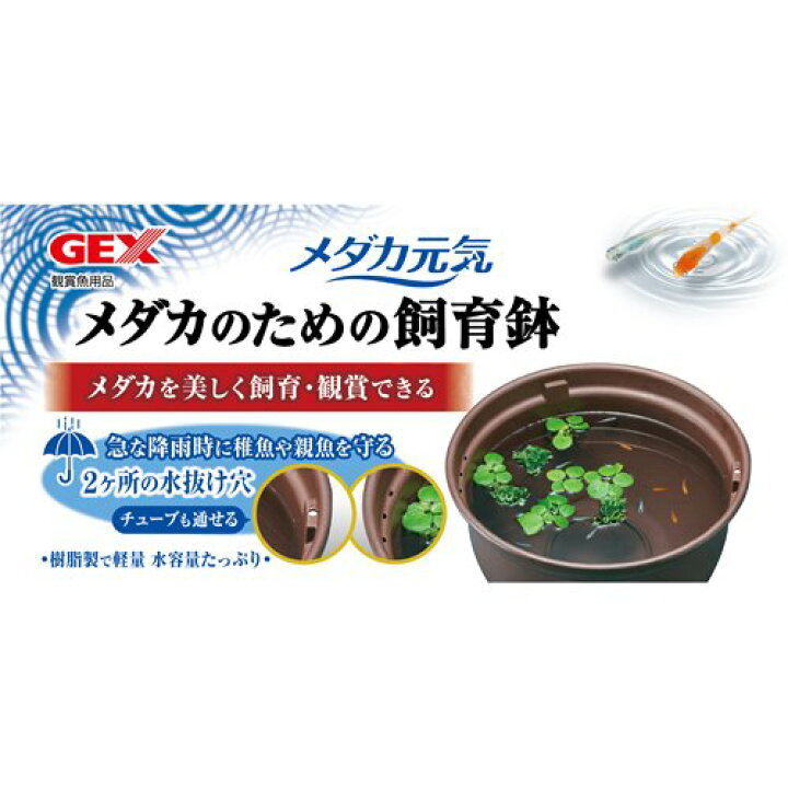 優れた品質 ジェックス メダカ元気 メダカのための飼育鉢 茶370 witravel.it 優れた品質 ジェックス メダカ元気 メダカのための飼育鉢 茶370 witravel.it