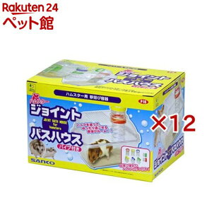 nX^[ WCgoXnEX pCvt(12Zbg)