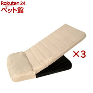 ybgX[v PS-02 AC{[(3Zbg)