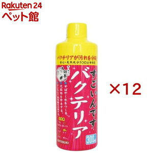 ł oNeA(300ml×12Zbg)