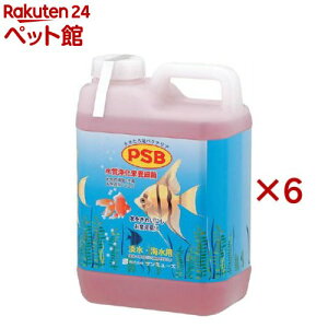 PSB(2.1L×6Zbg)