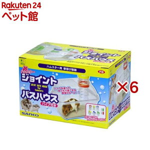 nX^[ WCgoXnEX pCvt(6Zbg)