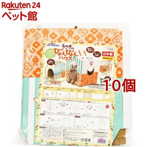 ~jAj} ̂҂҂nEX(10Zbg)y~jAj}z