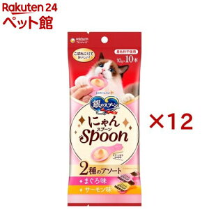 ̃Xv[ɂSpoon2̃A\[g܂끕T[ Lp (10{×12Zbg(1{10g))ỹXv[ z