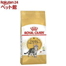 ロイヤルカナンFBN アメリカンショートヘアー 成猫用(2kg)【d_rc】【d_rc20】【ロイヤルカナン(ROYAL CANIN)】[キャットフード]