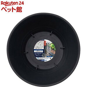 _J ~  33(1)ynitem_2107z