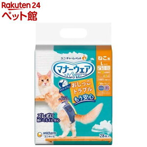 }i[EFA ˂p LTCY(28)y}i[EGAz