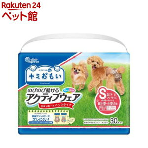 L~ ANeBuEFA pc^Cv Sȉt[TCY(30)yL~z