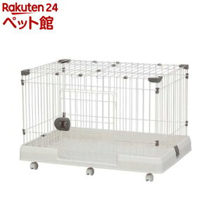 ACXI[}  P[W t [P[W RKG-900L(1)yACXI[}z