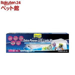 eg p[LEDCg 30(1)yTetra(eg)z