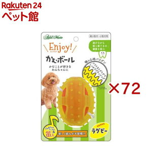 EnjoyIރ{[ Or[(72Zbg)