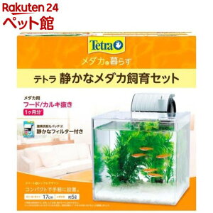 eg Âȃ_JZbg SF-17KF(1)yTetra(eg)z