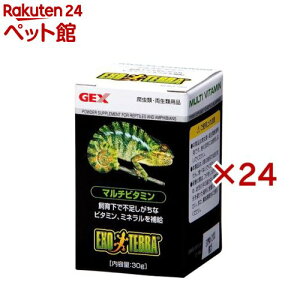 エキゾテラ ジェックス マルチビタミン PT1860(30g×24セット)【エキゾテラ】