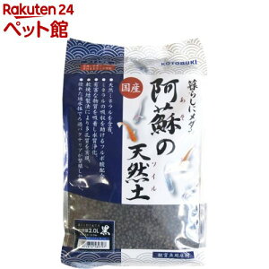 _J h̓VRy (2.0L)ynitem_2107z