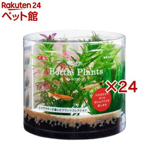 i {gvc ~ItB(24Zbg)yiz