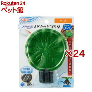 _Ji _Ĵ葐 nX(24Zbg)y_JCz