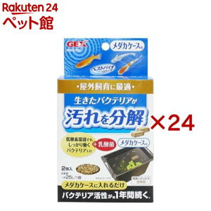 xXgoCIubN _JP[Xp(2×24Zbg)y_JCz