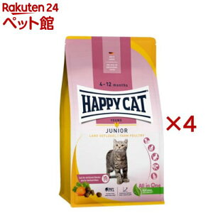 nbs[Lbg O WjAt@[|g[ `L(1.3kg×4Zbg)