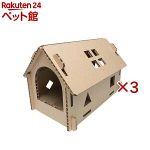 lIƂ nEX(3Zbg)ylIE[Ct(NEO Loo LIFE)z