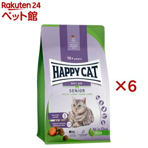 nbs[Lbg VjA VjAt@[(300g×6Zbg)