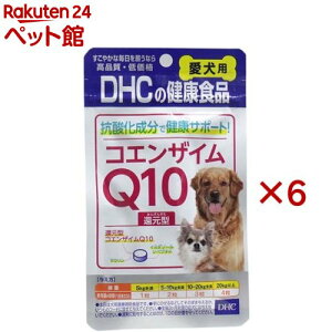 DHC p RGUCQ10Ҍ^(60×6Zbg)yDHC ybgz