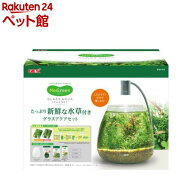 MeGreen 新鮮な水草付き グラスアクア ティアーセット(1セット)
