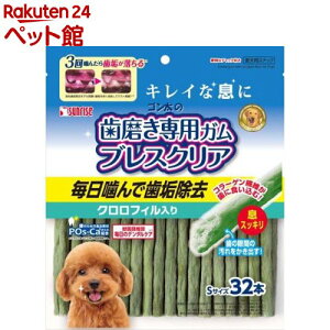 TCY S̎pK uXNA NtB STCY(32{)ySz