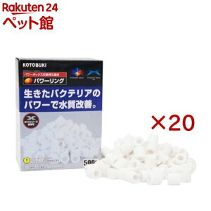 RguLH| p[O(20Zbg)yRguLH|z