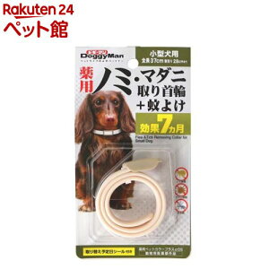 hM[} pm~E}_j+悯 ^p(1)yhM[}(Doggy Man)z