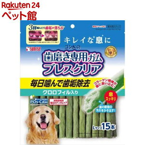 TCY S̎pK uXNA NtB LTCY(15{)ySz