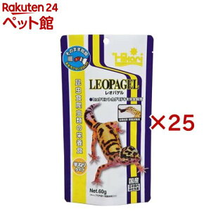 Ђ IpQ(60g×25Zbg)yЂz