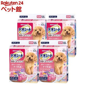 fIV[g LtOX t[V{̍ M[ p(120×4)yfIV[gz