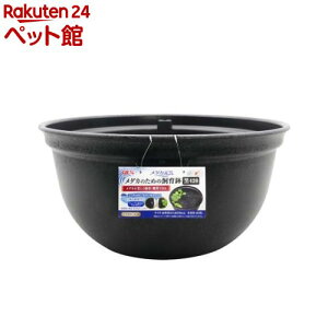 _JC _Ĵ߂̎甫 420(1)y_JCz