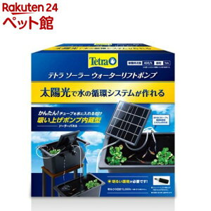 eg \[[EH[^[tg|v(1)yTetra(eg)z