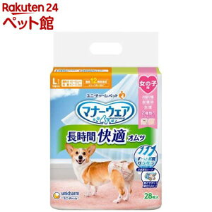 }i[EFA ԉKIc ̎qp L p(28)y}i[EGAz