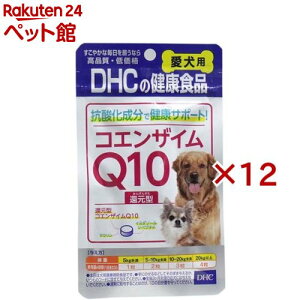 DHC p RGUCQ10Ҍ^(60×12Zbg)yDHC ybgz