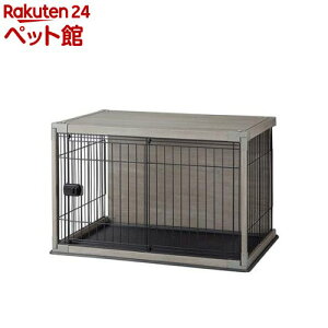 ACXI[}  T[N CeAEbfBT[N AbVO[(1)