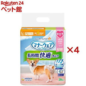 }i[EFA ԉKIc ̎qp L p(28×4Zbg)y}i[EGAz