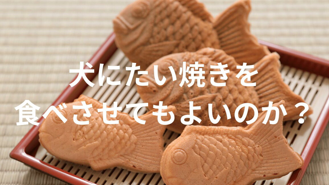 楽天市場 | 日優犬高松 - 犬にたい焼きを食べさせてもよいのか？（日優 