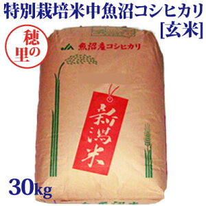 ߘa7NYVāʍ͔|ĒYRVqJ30kg(̗)[]