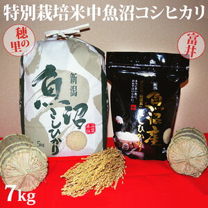 ߘa7NYVāɏ㖡킢ʃZbgʍ͔|ĒYRVqJ7kg