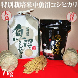 令和5年産新米☆極上味わい彩セット☆特別栽培米中魚沼産コシヒカリ7kg
