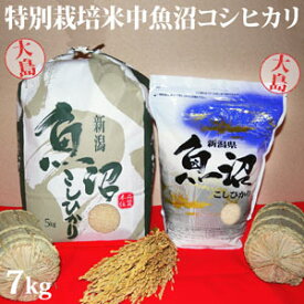 令和5年産新米☆特別栽培米中魚沼産コシヒカリ7kg(大島さん)