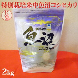 令和5年産新米☆特別栽培米中魚沼産コシヒカリ2kg(大島さん)